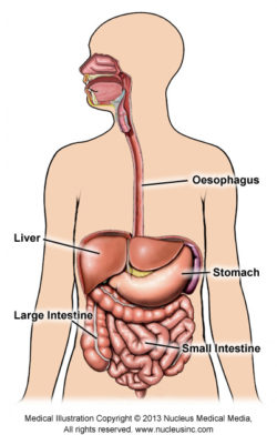 Contrast Medium: Using Gadolinium or Iodine in Patients with Kidney Problems